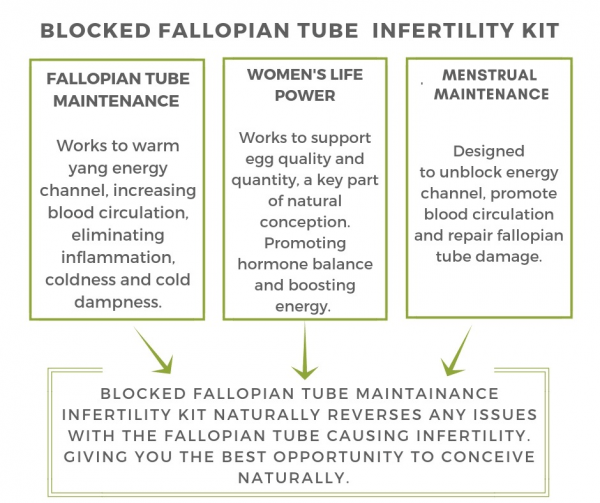 Fallopian Tube & Infertility Kit