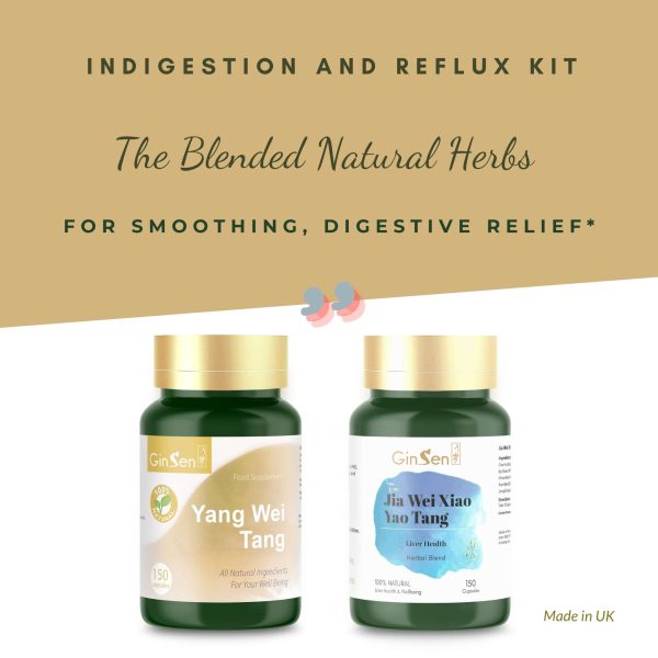 Indigestion and Reflux Kit