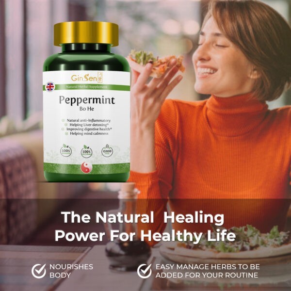 Peppermint Tablets Bo He by GinSen