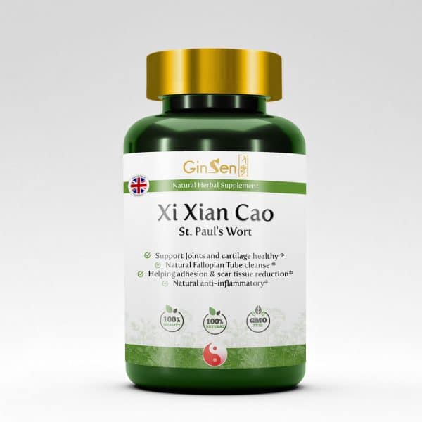 St Paul’s Wort Tablets Xi Xian Cao by GinSen