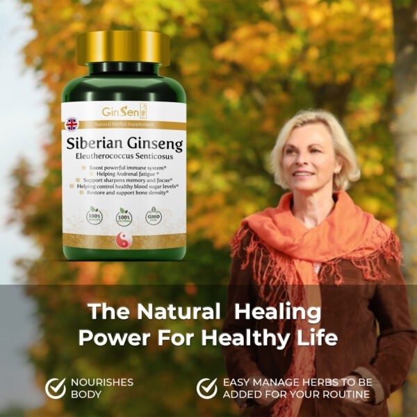 Siberian Ginseng Supplements Eleutherococcus Senticosus by GinSen