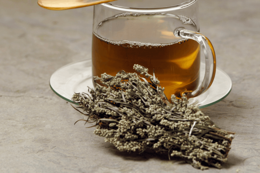 mugwort benefits chinese medicine