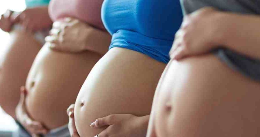 Ginsen’s 90 Day preconception care plan