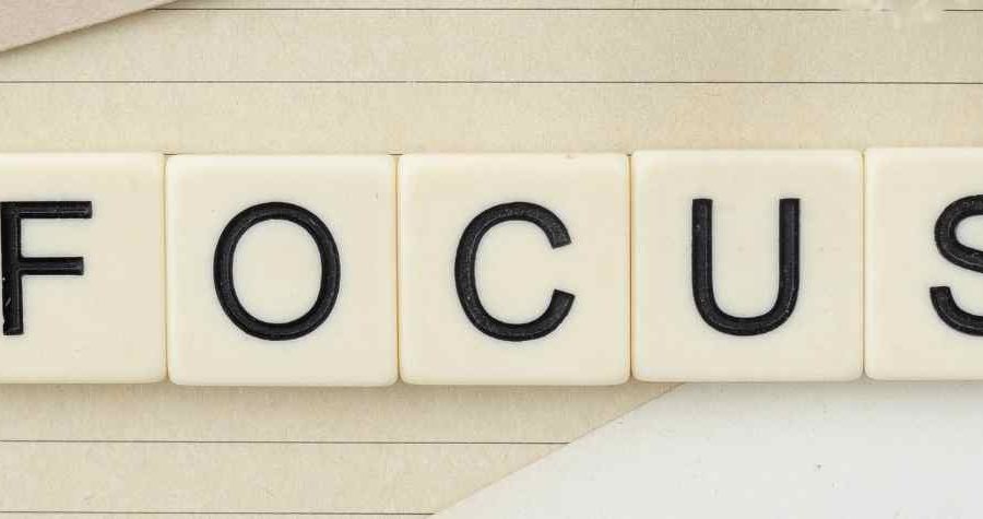 herbs for cognitive function