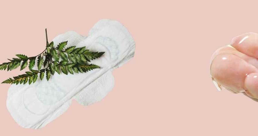 Increase Cervical Mucus