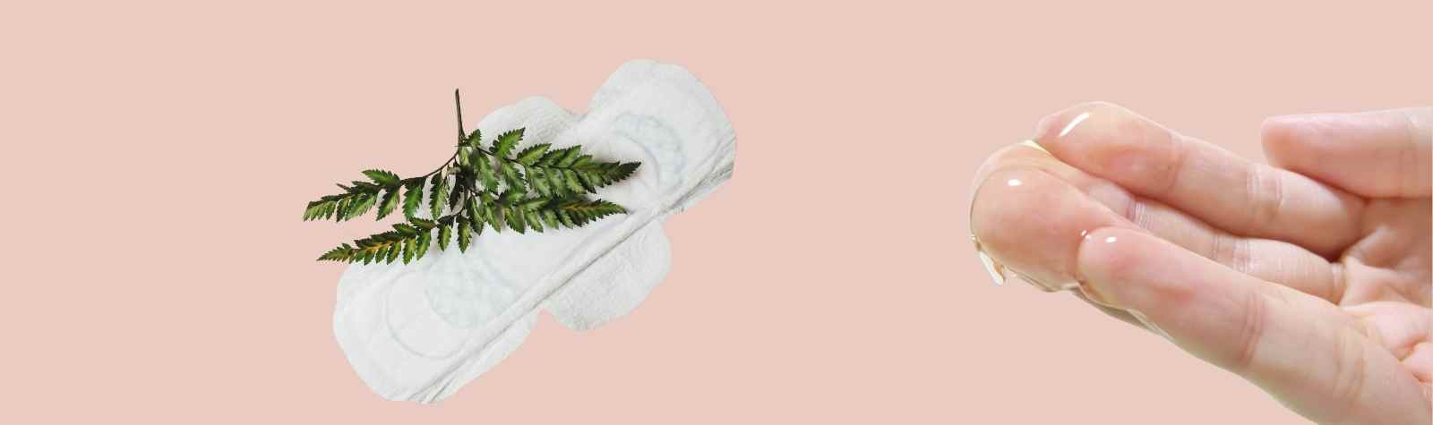 Increase Cervical Mucus