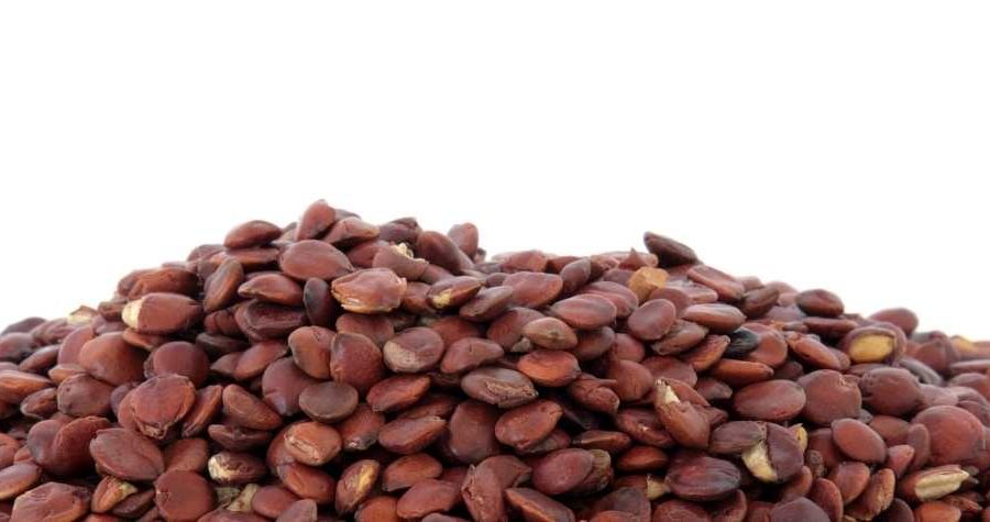 Jujube Seed Benefits
