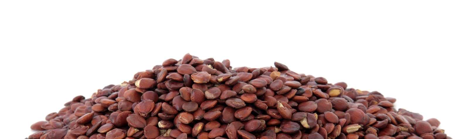 Jujube Seed Benefits