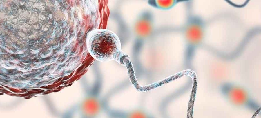 Azoospermia Treatment