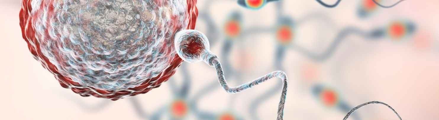 Azoospermia Treatment