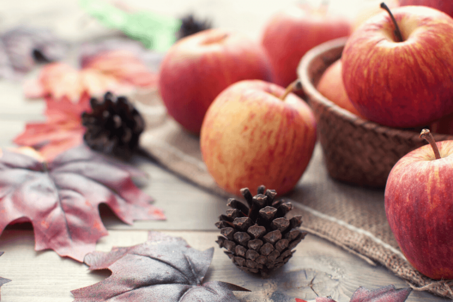 Autumn Tips