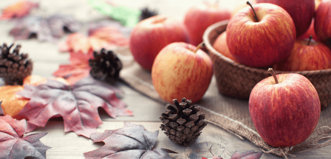Autumn Tips