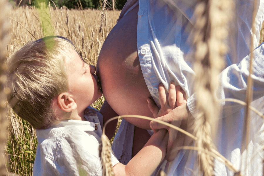 herbs for fertility