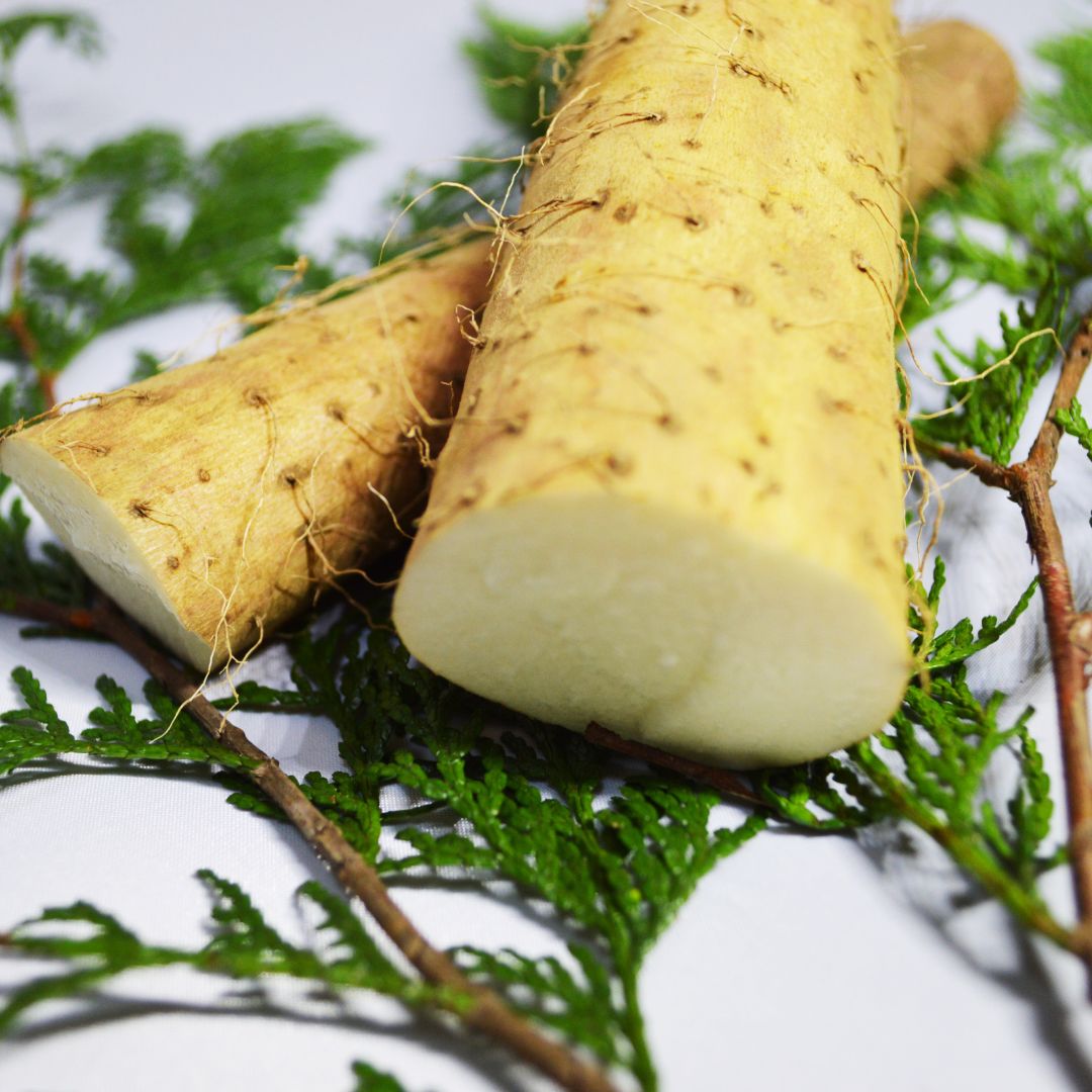 wild yam wild yam