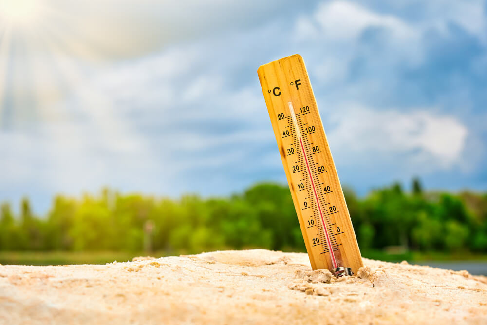 chinese medicine for summer health