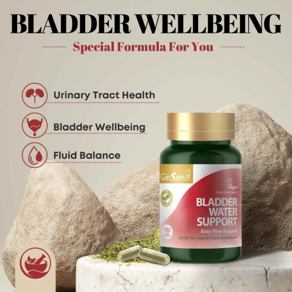 Bladder Water Support