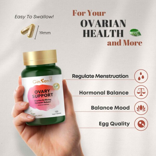 ovary support