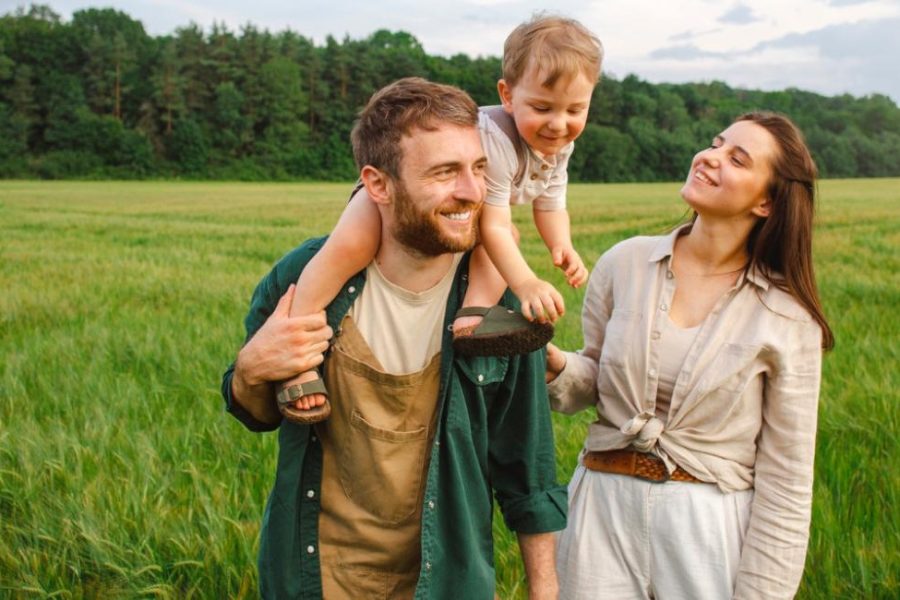 fertility treatment before ivf